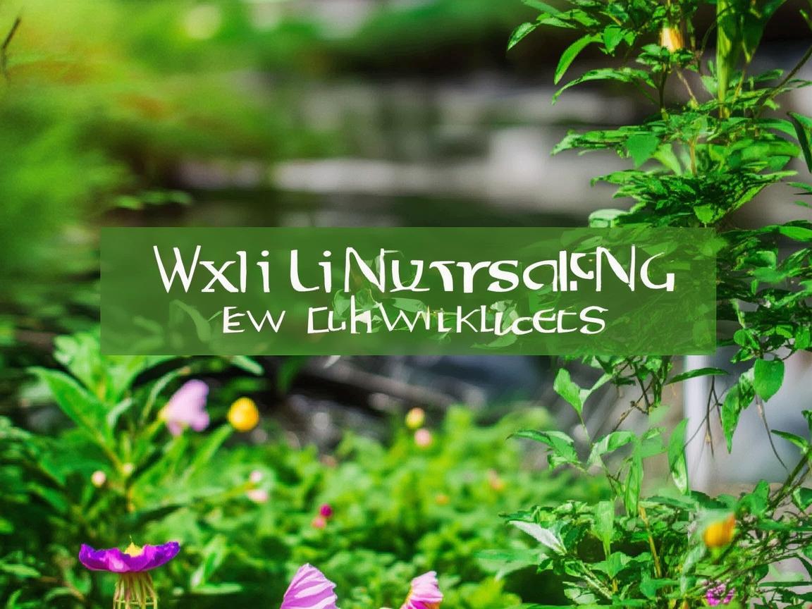 无锡护理新挑战，如何有效应对老年患者夏季皮肤护理难题？