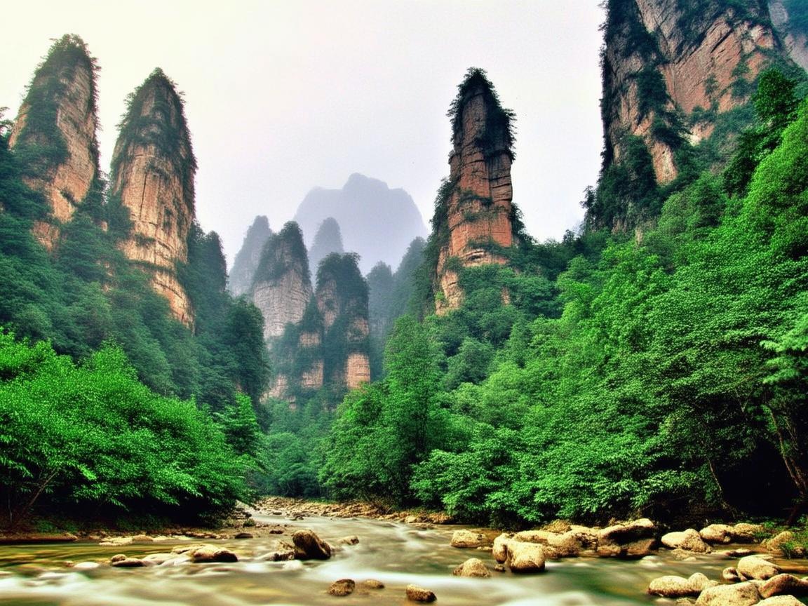 张家界之行,领略别样护理风情 张家界之行,领略别样护理风情