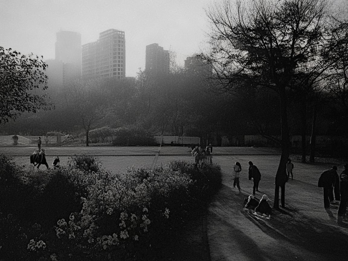 环卫工人的职业健康，如何减少工作期间的健康风险？