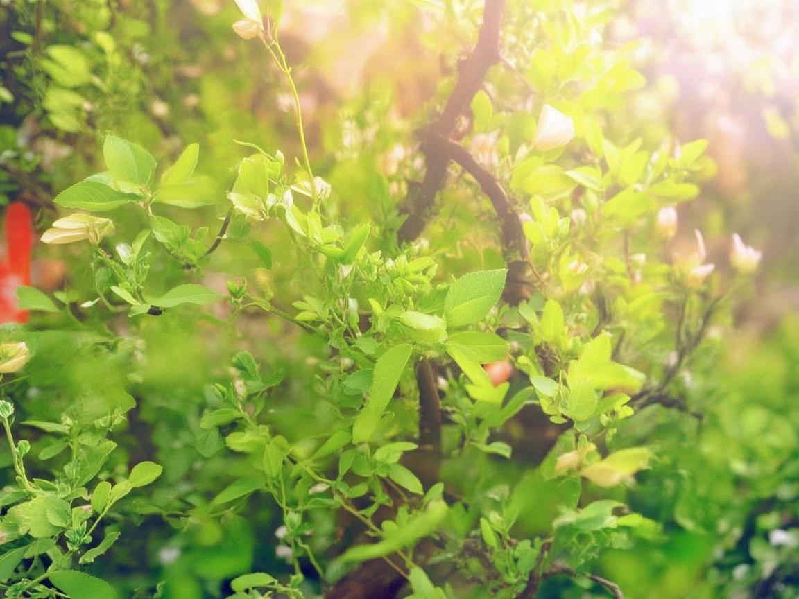 以爱之名，守护观众健康防线