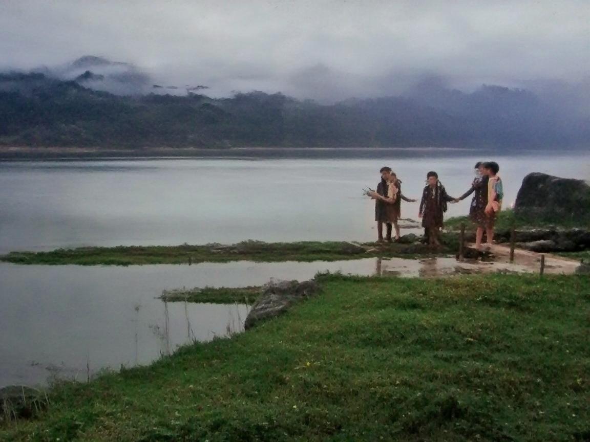 园艺工具在康复花园设计中的角色，促进患者身心恢复的绿色力量