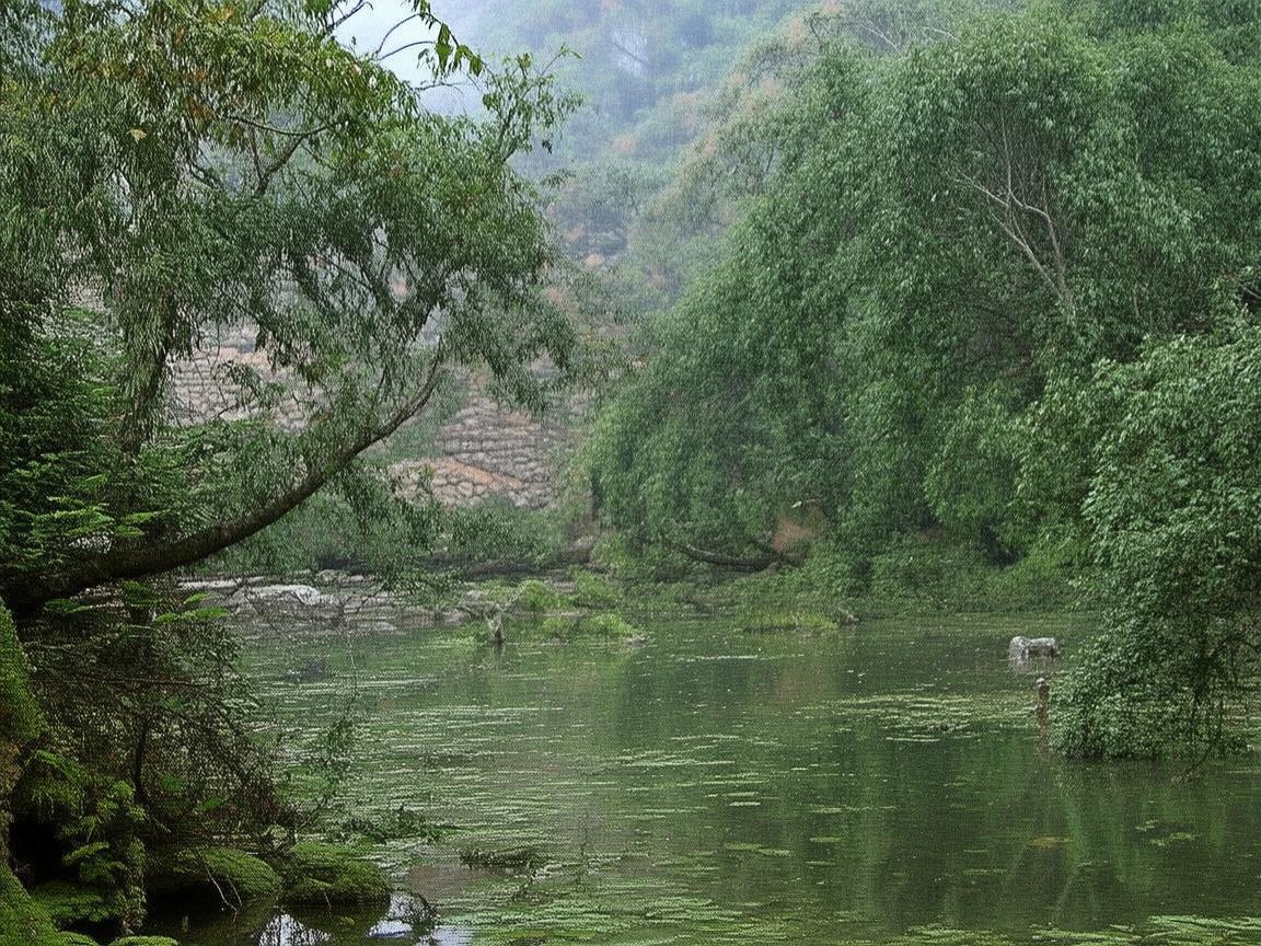 淮北地区如何优化护理资源分配，以应对老龄化社会的挑战？